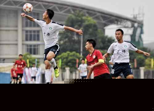 2025意大利足球盛典评最佳阵：劳塔罗领衔，国米5人入选（2025意大利足球盛典最佳阵出炉：劳塔罗压阵，国米五将入选）