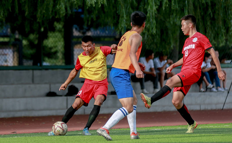 德甲替补戴帽，凯恩是继9分钟5球的莱万之后拜仁第二人（替补上演帽子戏法，凯恩成莱万9分钟五球后拜仁队史第二人）